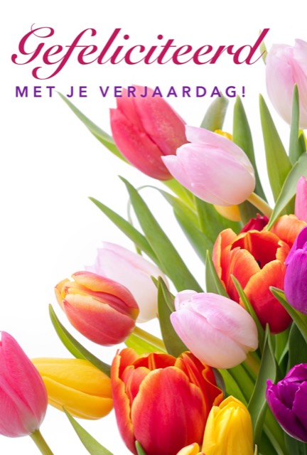 Felicitatiekaart met kleurrijke tulpen