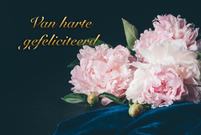 Chique felicitatiekaart met roze pioenrozen op donkere achtergrond